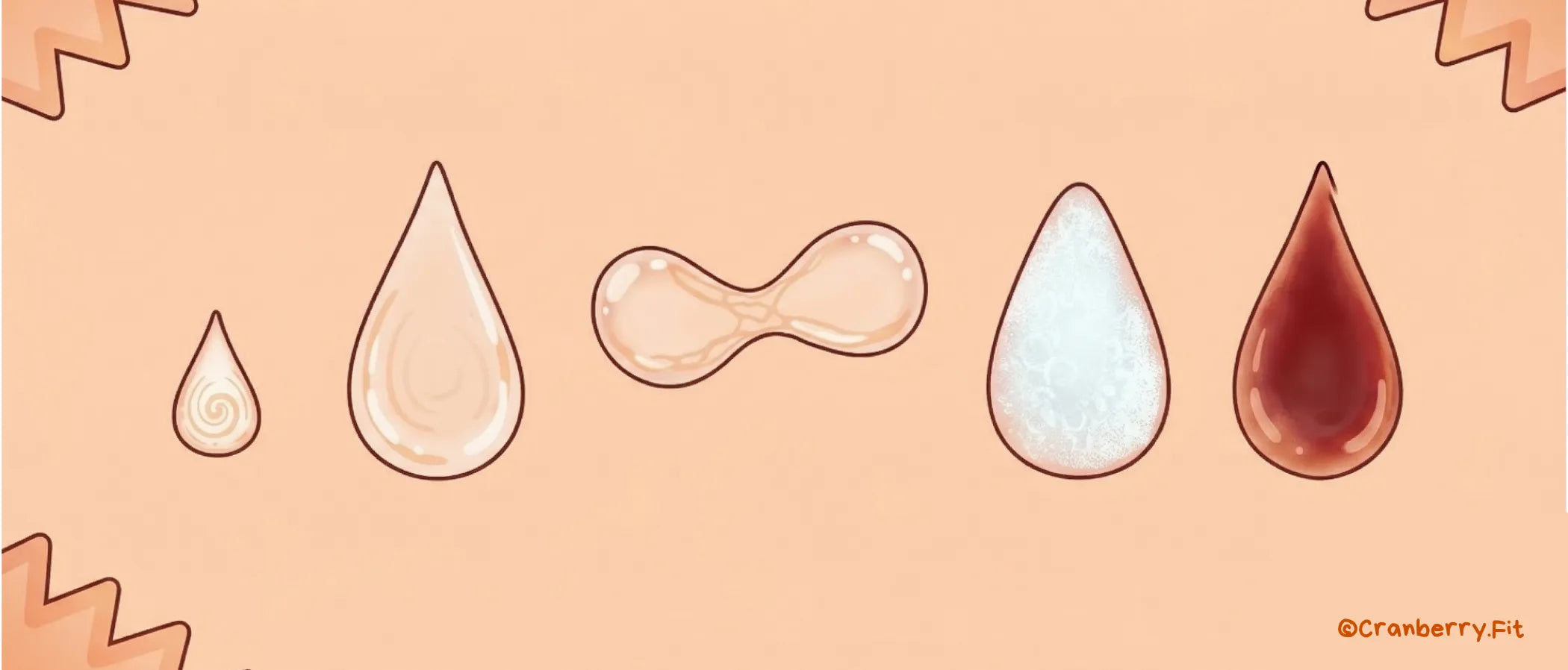Diagram illustrating various types of white discharge throughout the menstrual cycle.