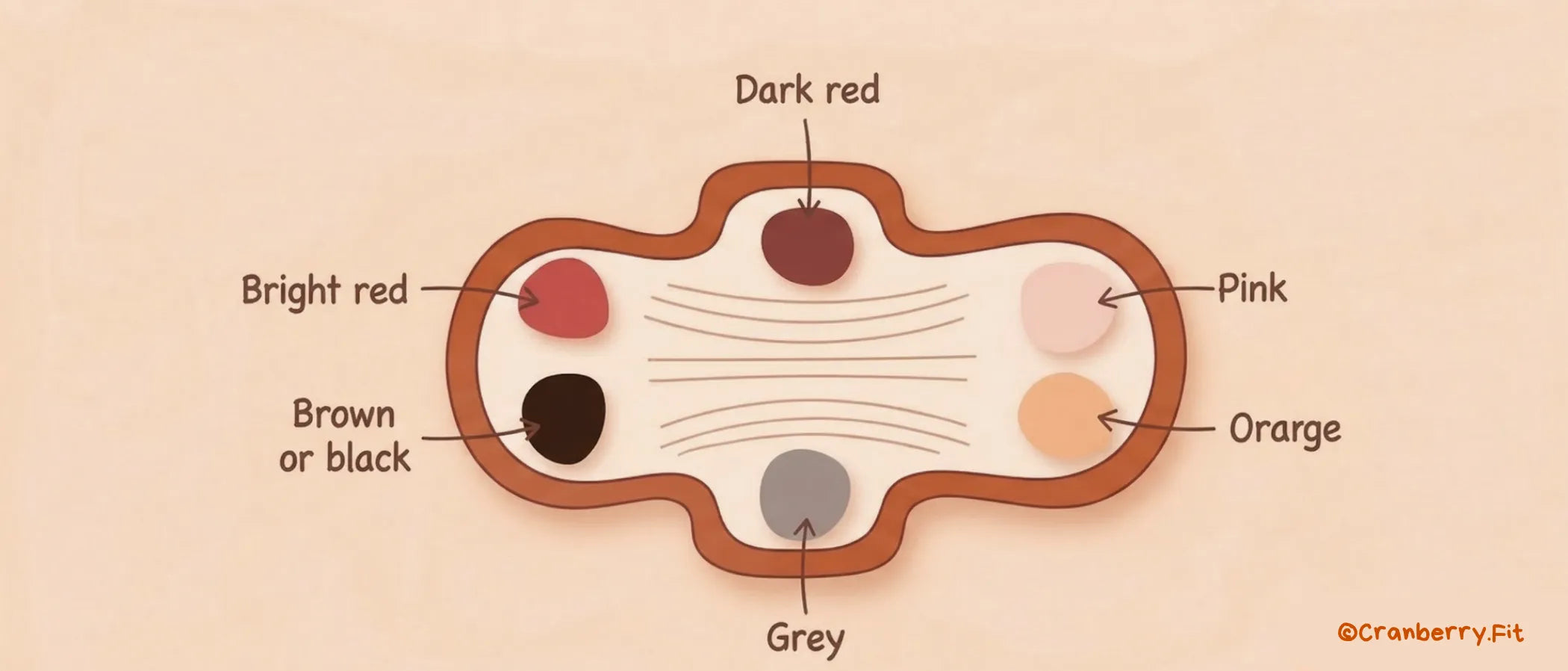Diagram illustrating various types of period blood colours.