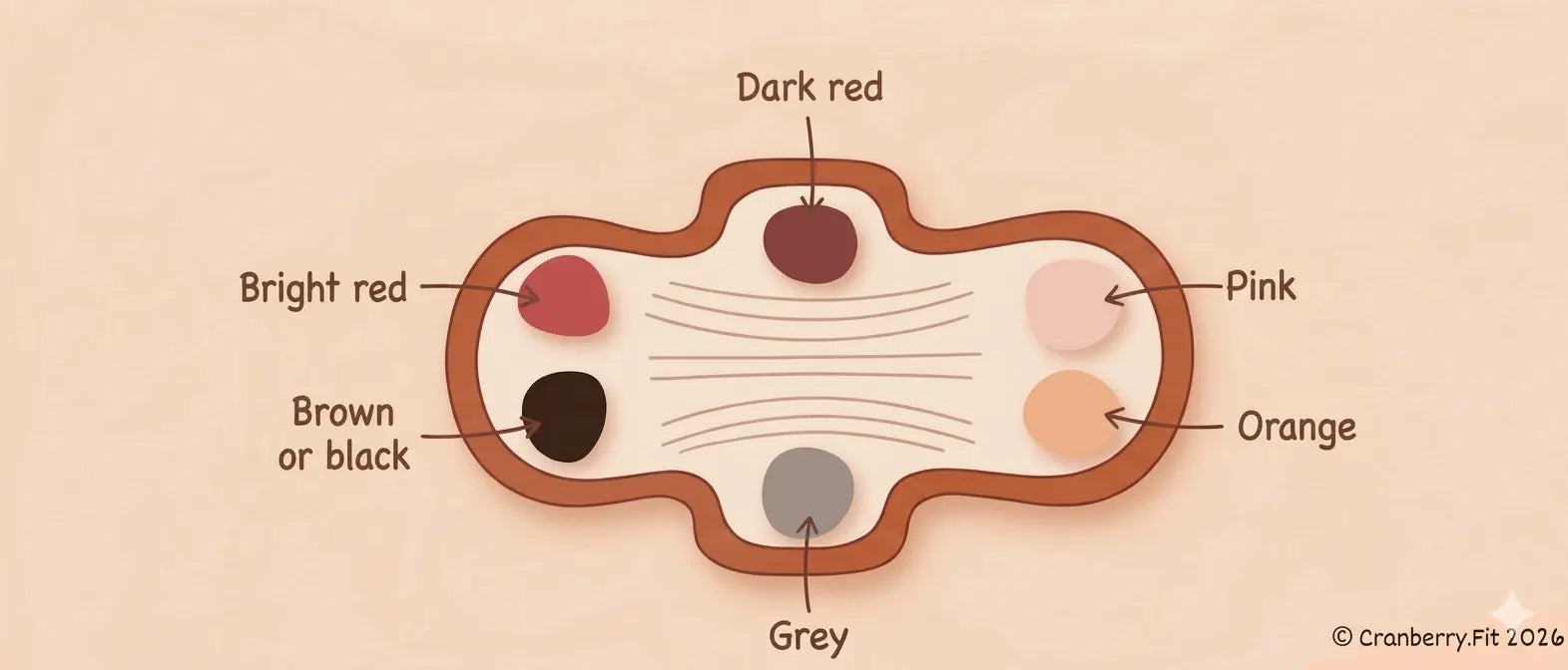 Diagram illustrating various types of period blood colours.